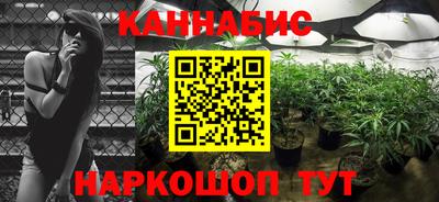 спайс Малгобек