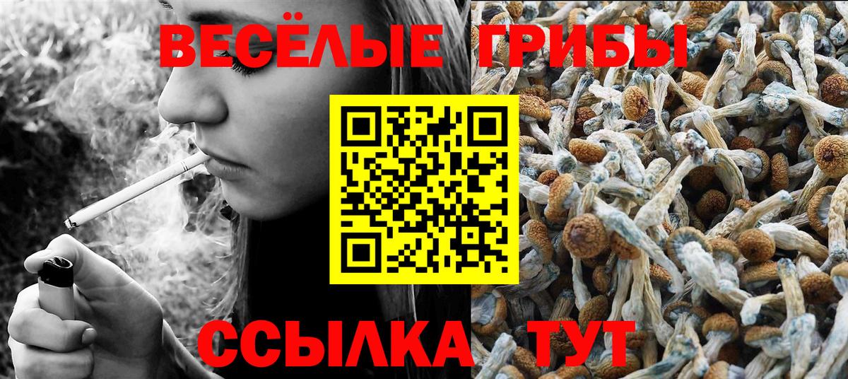 Галлюциногенные грибы Cubensis  Вход с VPN  Ялуторовск 